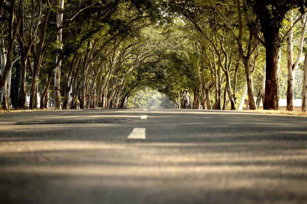 Road view